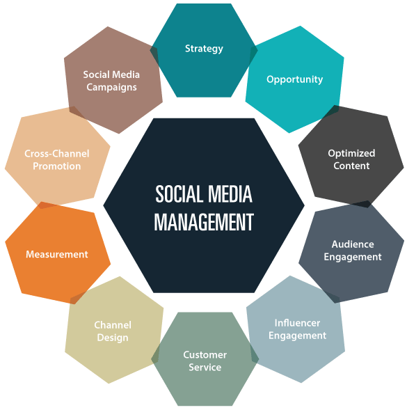 Professional SMM Social Media Management Agency